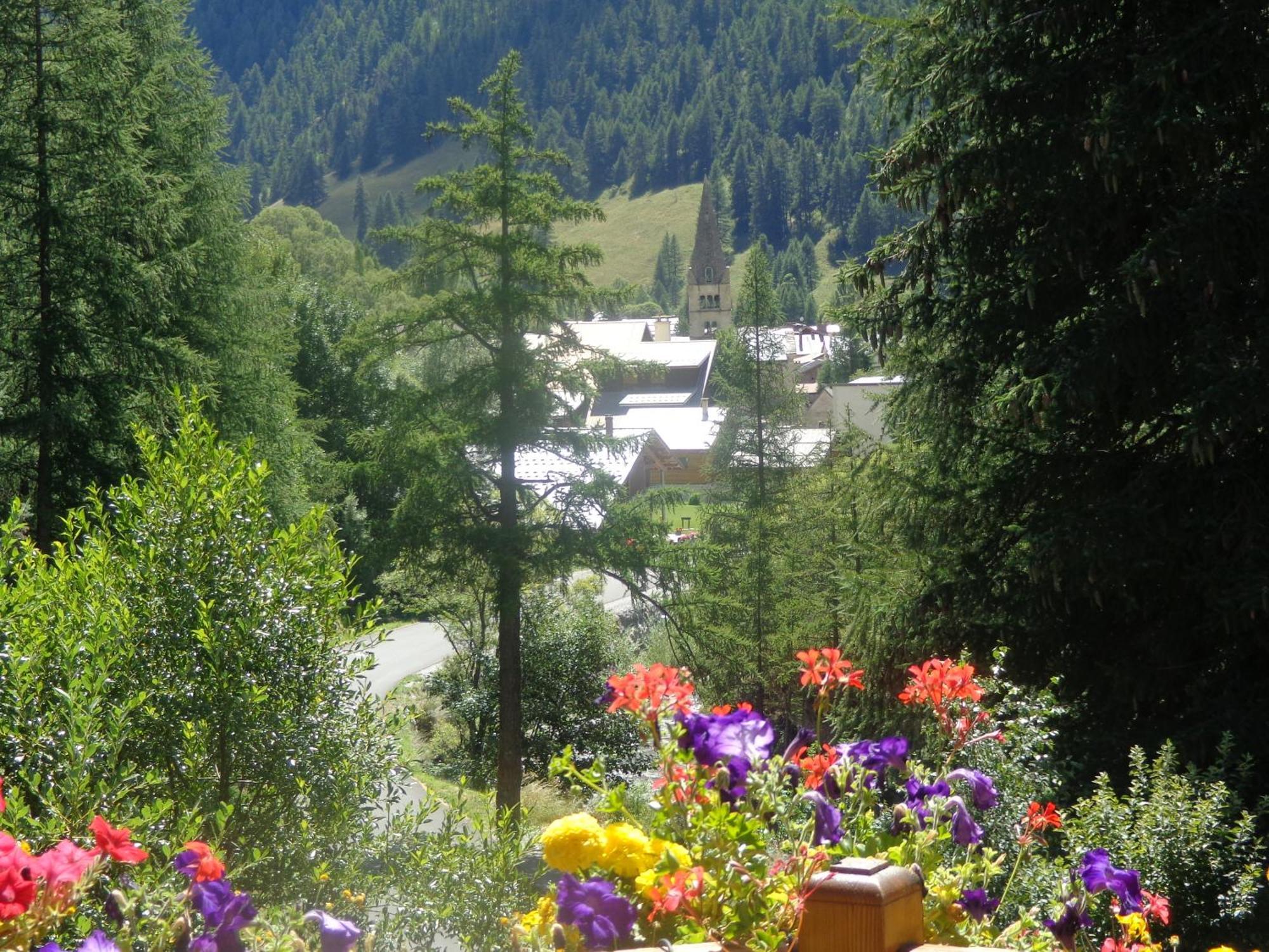Ancolie Bleue Abriès